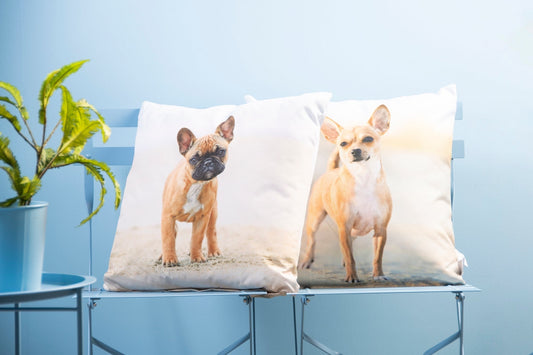 Outdoor Cushion With Dog Print S - www.Shopthatapp.com