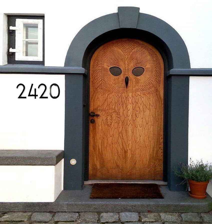 Elegant black aluminum number 5 displayed on a wooden decorative door with owl design
