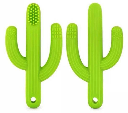 Brosse a dent cactus - www.Shopthatapp.com