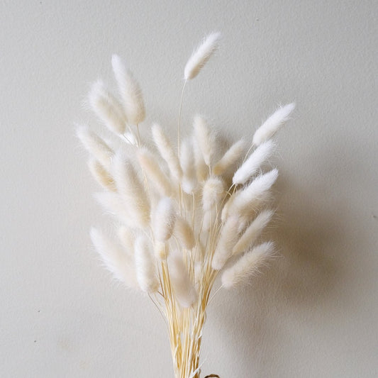 Bunnytails - White - www.Shopthatapp.com