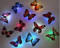 Butterfly led night light x12 - www.Shopthatapp.com