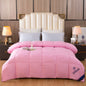 Downfull Spring And Autumn Winter Duvet Thickened Velvet Quilt Comforter - www.Shopthatapp.com