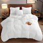 4PCs Plush Duvet Cover Set Luxury Ultra Soft Velvet Duvet - www.Shopthatapp.com