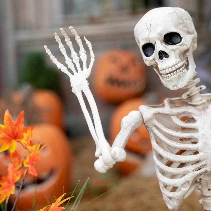 Halloween Movable Joint Skeleton Plastic Model 90cm Party Outdoor Decoration Props - www.Shopthatapp.com