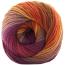 COLORFUSION DK | Premier Yarns Collection - www.Shopthatapp.com