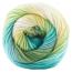 COLORFUSION DK | Premier Yarns Collection - www.Shopthatapp.com