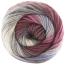 COLORFUSION DK | Premier Yarns Collection - www.Shopthatapp.com