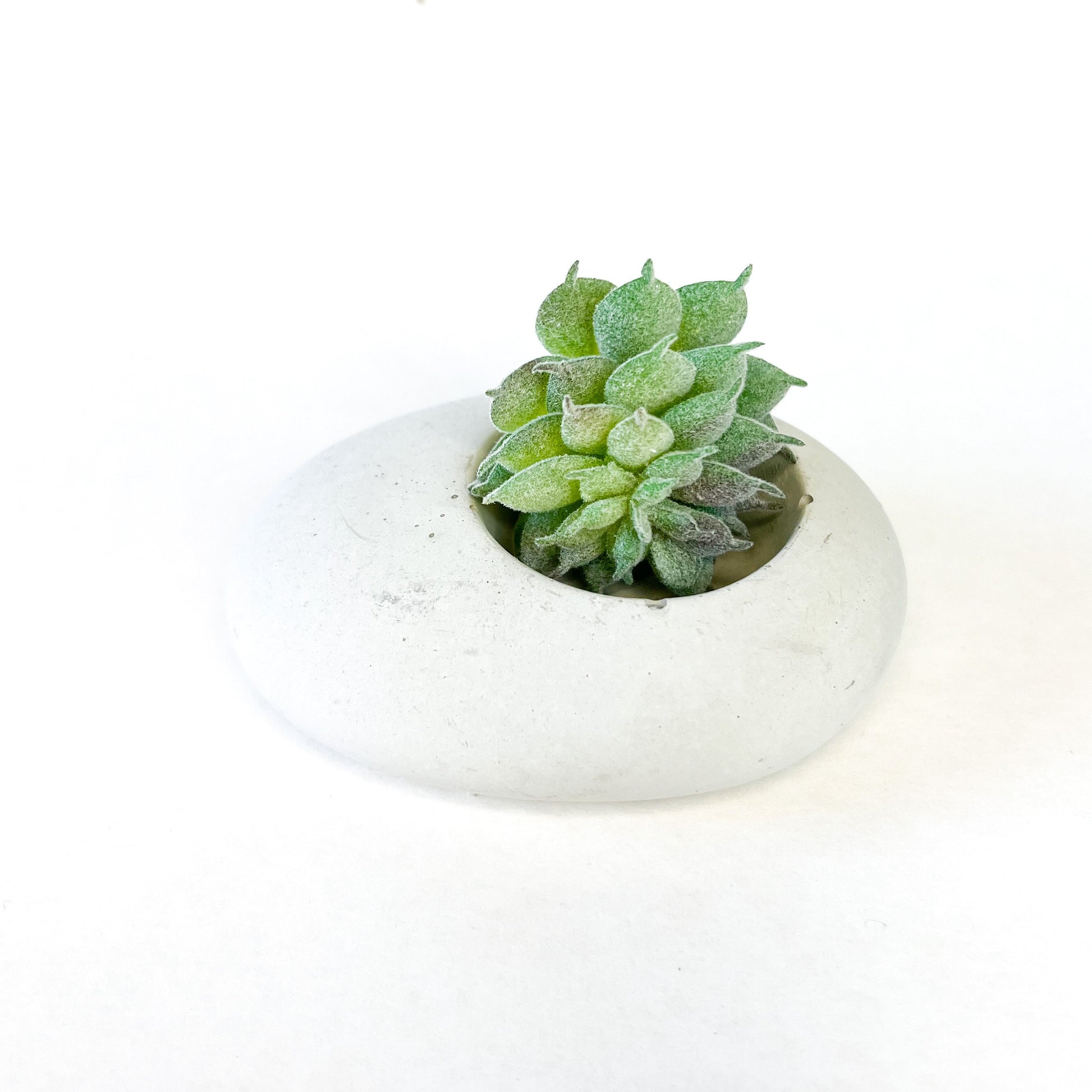 Concrete Pebble Planter - www.Shopthatapp.com