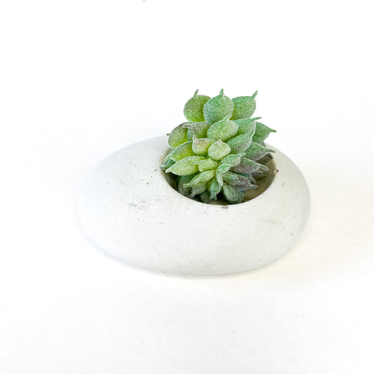 Concrete Pebble Planter - www.Shopthatapp.com