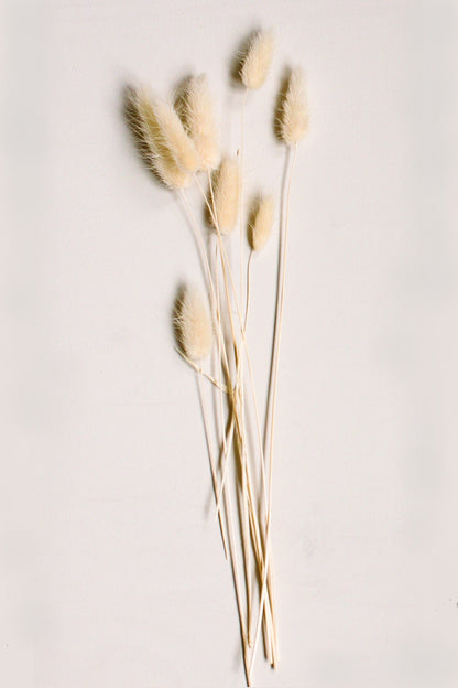 Cream Bunny Tails - www.Shopthatapp.com