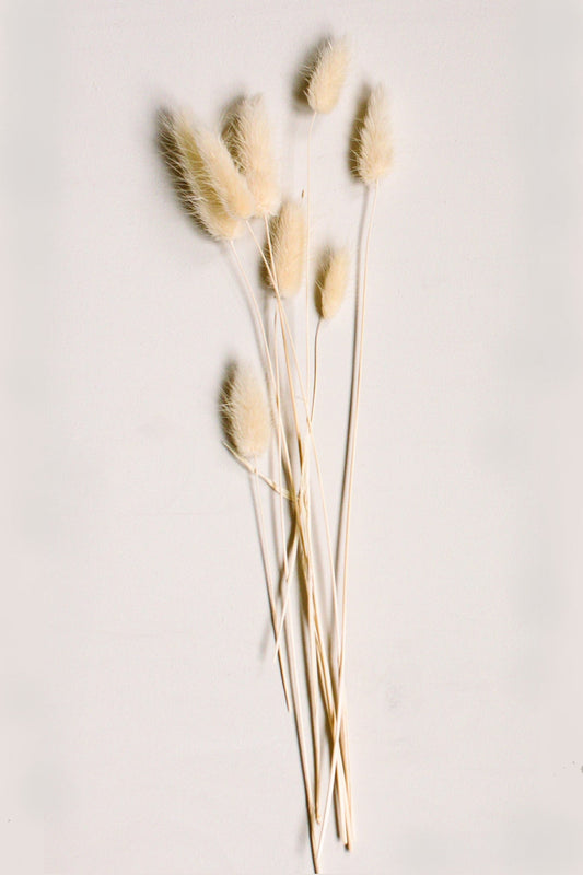 Cream Bunny Tails - www.Shopthatapp.com