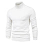 Men's Plain Slim Pullover Polo Sweatshirt Turtleneck Sweater Winter Casual Tops Men - www.Shopthatapp.com