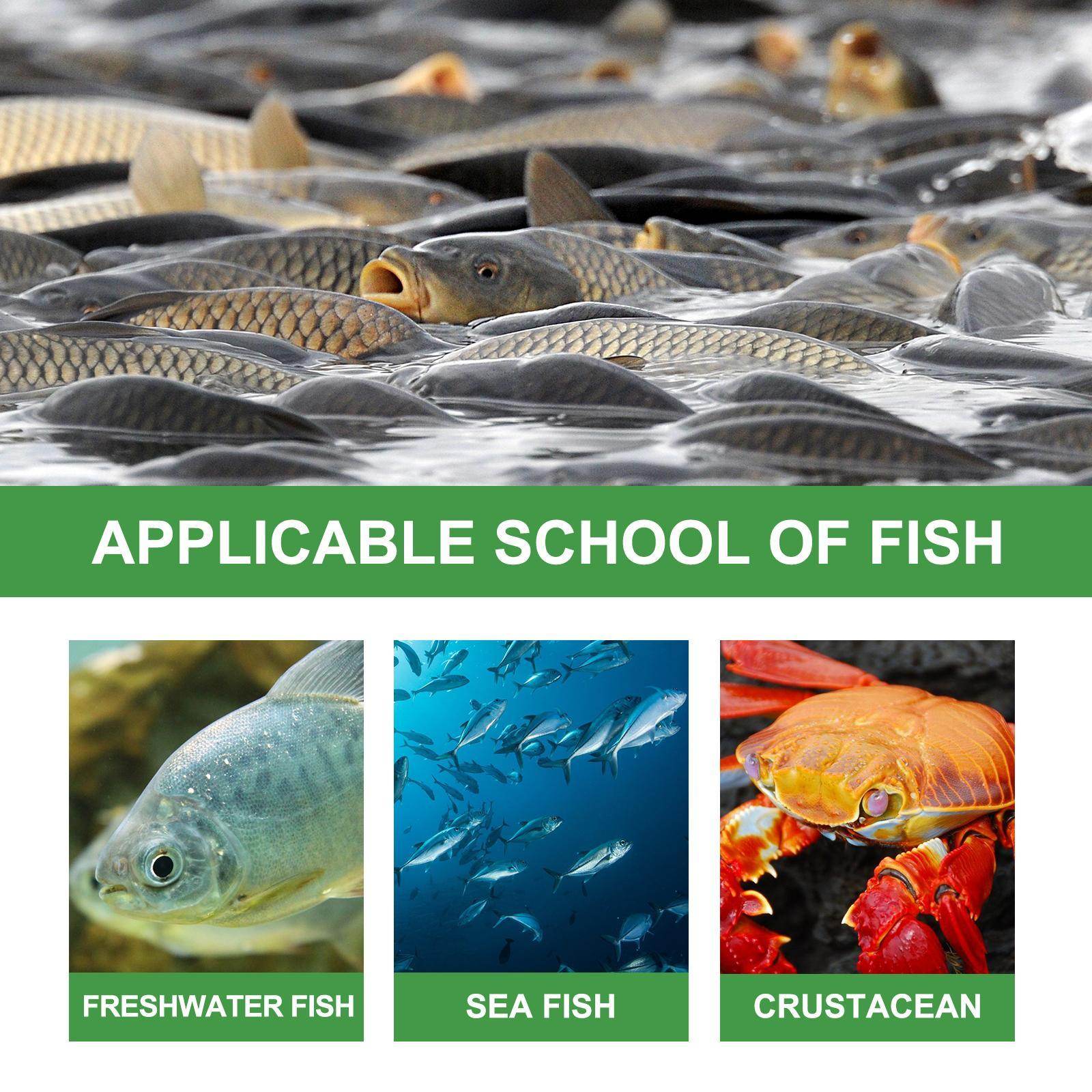 Igbang Wild Fishing Bait Small Medicine Fish Attractant - www.Shopthatapp.com