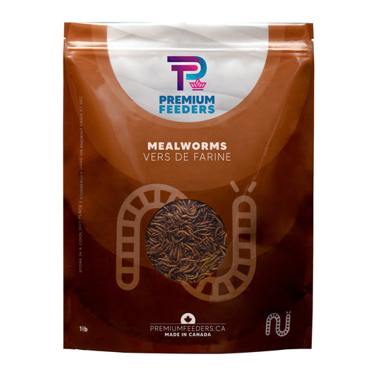 Dried Mealworms – 1lb