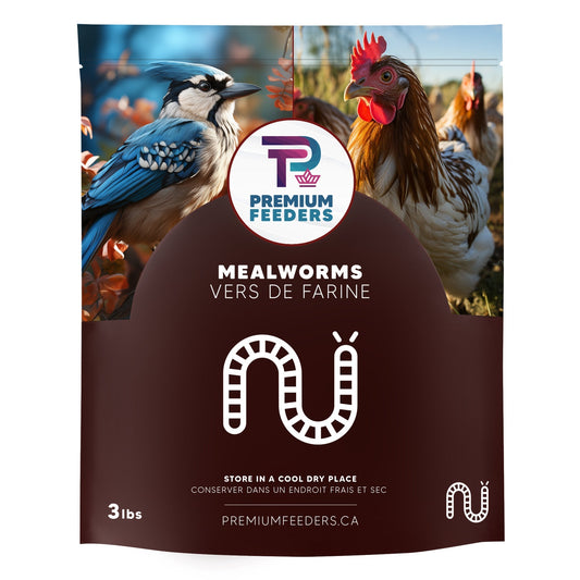 Dried Mealworms – 5lb