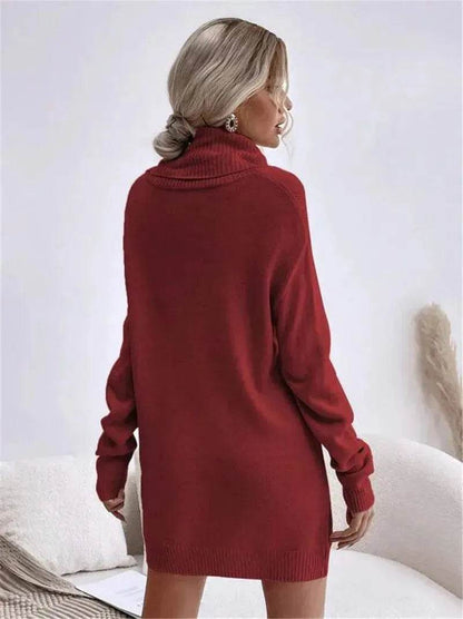 Autumn Winter Solid Cashmere  Loose  Mini Turtleneck sweater Dress - www.Shopthatapp.com