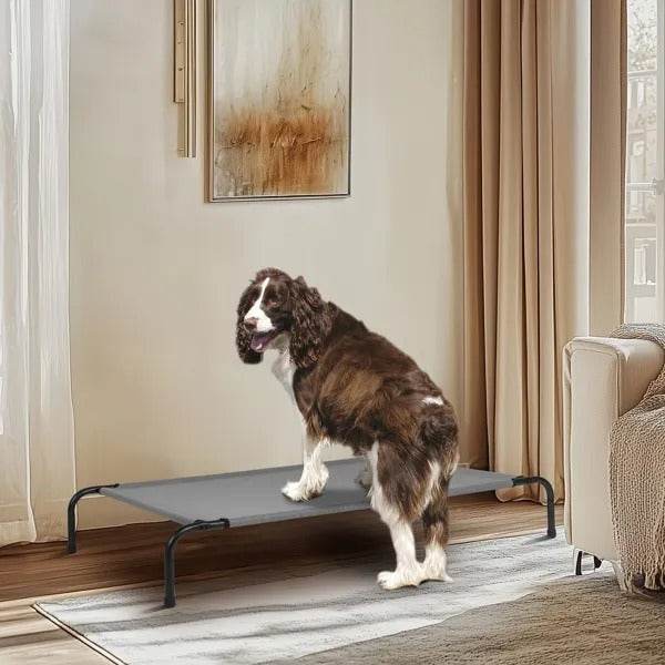 50D X 31W X 8H Dog Bed - www.Shopthatapp.com