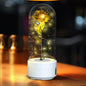 Creative 2 In 1 Rose Flowers LED Light And Bluetooth-compatible Speaker Valentine's Day Gift Rose Luminous Night Light Ornament In Glass Cover - www.Shopthatapp.com