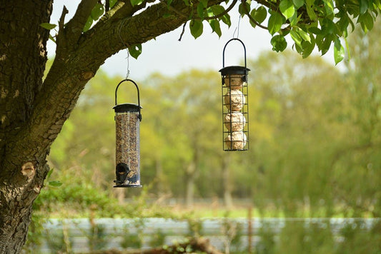 Seed Feeder, Excl. Bird Food - www.Shopthatapp.com