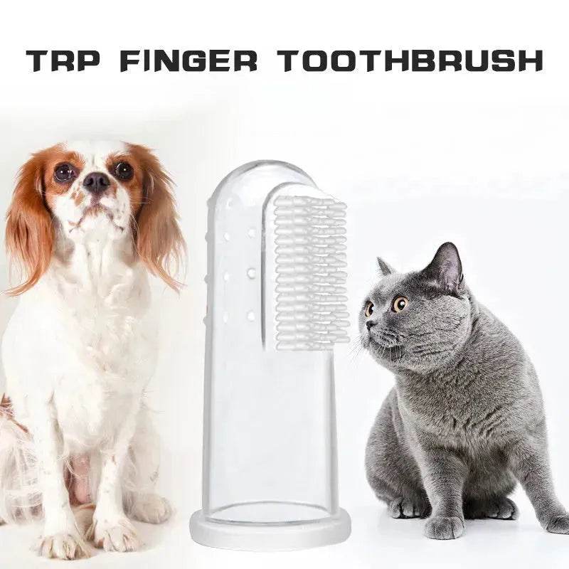 Buy 3pcs Pet Oral Care Kit Dog Cat Dental Care - www.Shopthatapp.com