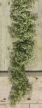 Fresh Garland Table Runner  - Eucalyptus, Baby' Breath, Ruscus - www.Shopthatapp.com