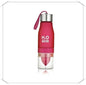 Fruit Infuser Water Bottle - www.Shopthatapp.com