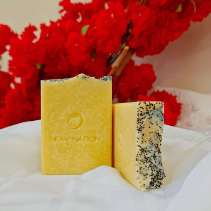 Heav Nation Natural Skincare Canada – Exfoliating Soap Bar - Www.Shopthatapp.com