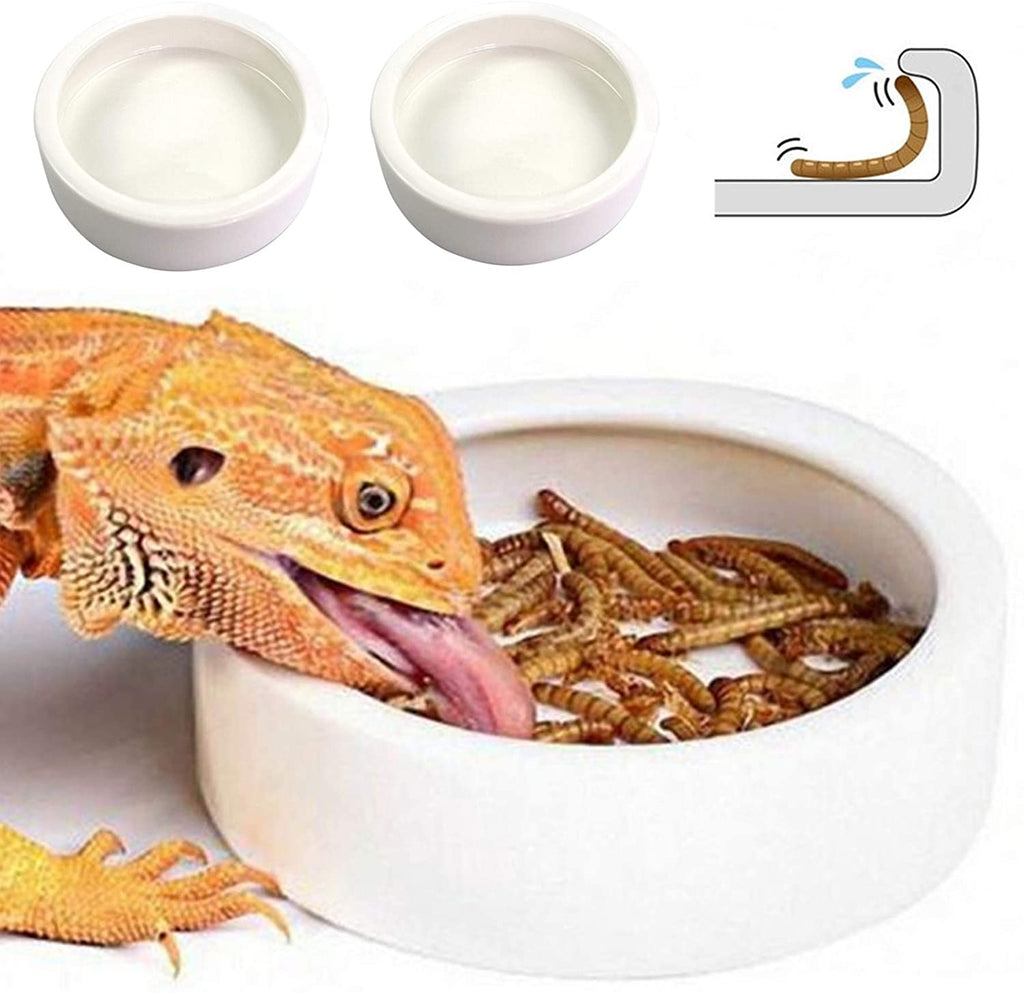 Reptile Worm Dish - www.Shopthatapp.com