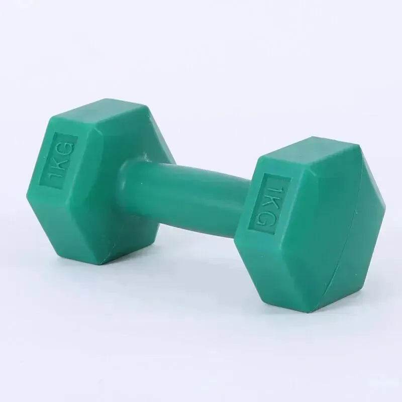 Ladies Gym Aerobics Filling Sand Hexagon Dumbbell - www.Shopthatapp.com