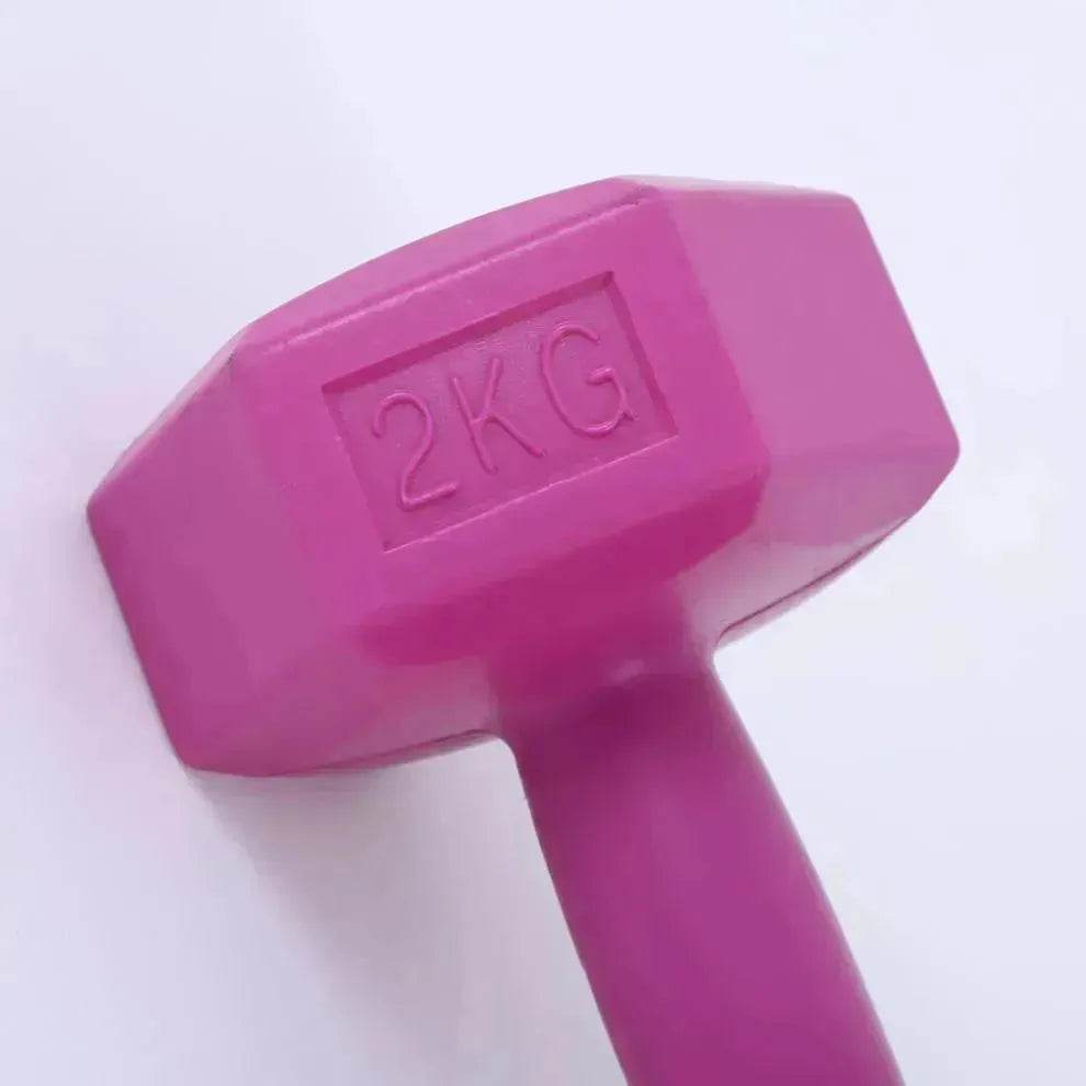 Ladies Gym Aerobics Filling Sand Hexagon Dumbbell - www.Shopthatapp.com