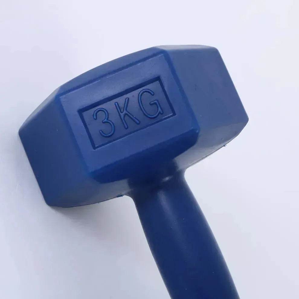 Ladies Gym Aerobics Filling Sand Hexagon Dumbbell - www.Shopthatapp.com