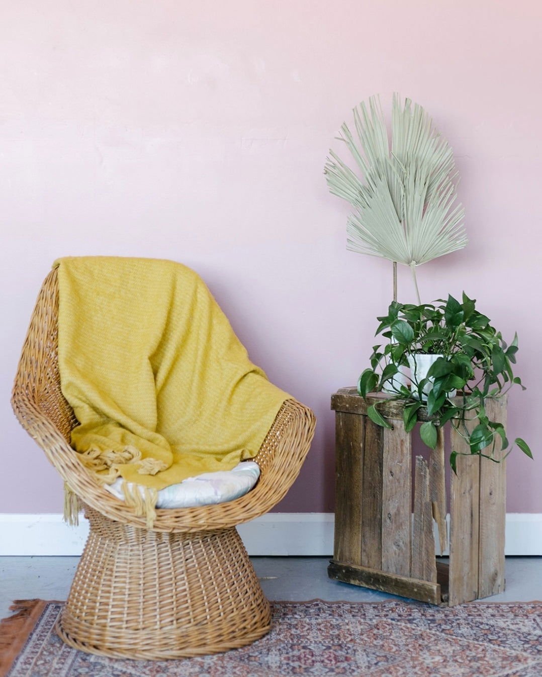 Natural Dried Palm Leaf - Set of 2 - www.Shopthatapp.com