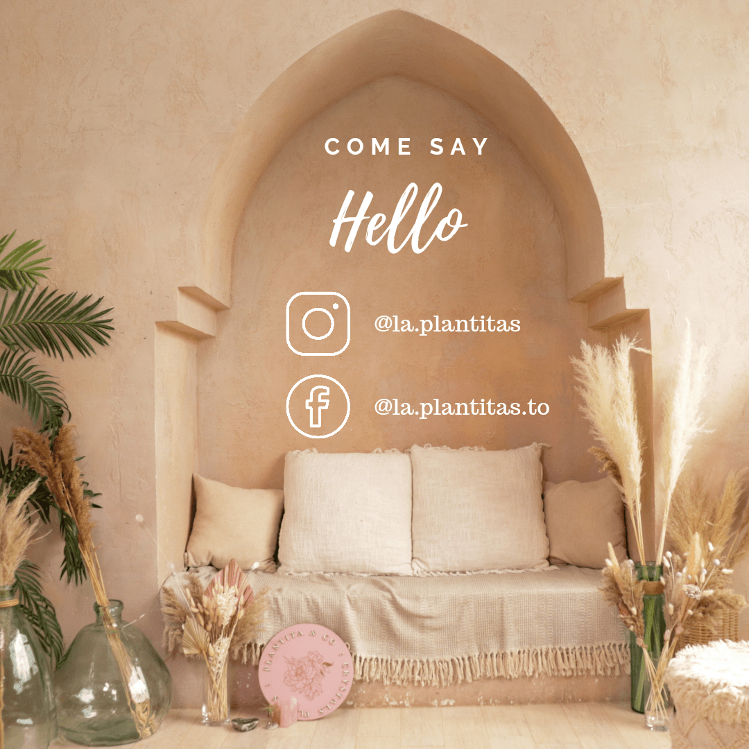 Natural Dried Palm Leaf - Set of 2 - www.Shopthatapp.com