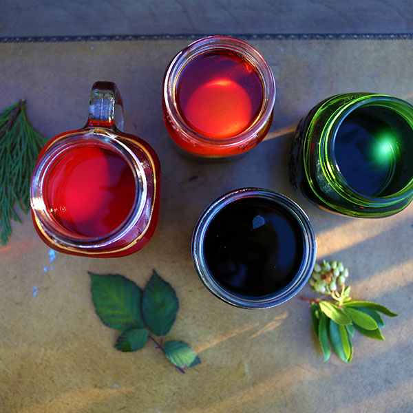 Natural Egg Dye Kit - www.Shopthatapp.com