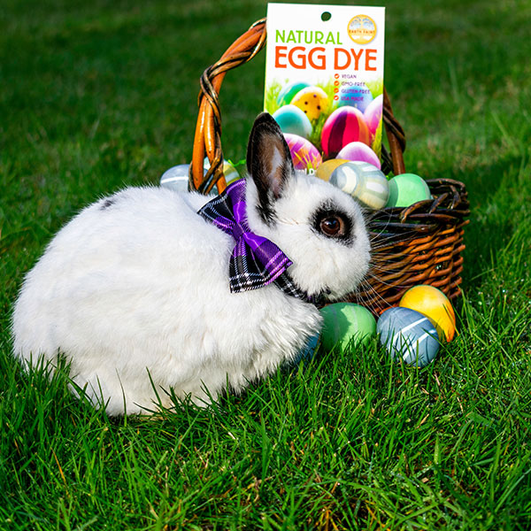 Natural Egg Dye Kit - www.Shopthatapp.com