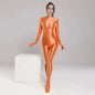 Spandex Nylon Full Bodysuit Zentai Shinny Cosplay Jumpsuit Attached Gloves - www.Shopthatapp.com