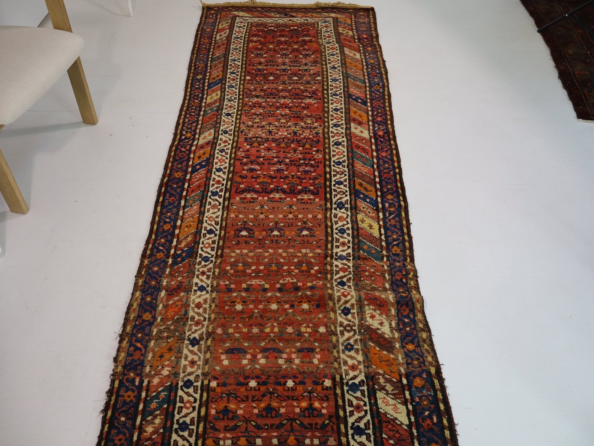 Persian Azerbaijan Runner Rug | 3' 1" x 9' 6" - www.Shopthatapp.com