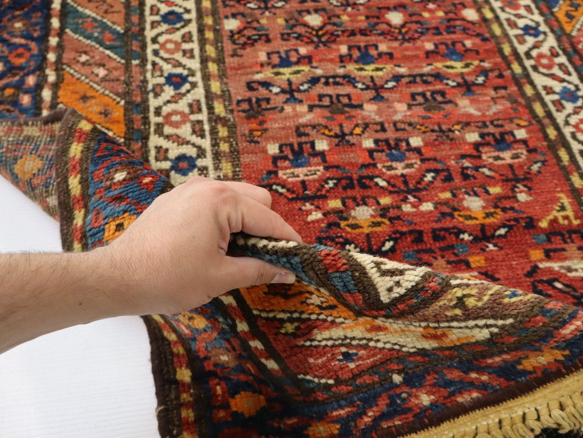 Persian Azerbaijan Runner Rug | 3' 1" x 9' 6" - www.Shopthatapp.com