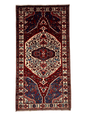 Persian Bakhtiari Rug | 5' 2" x 9' 10" - www.Shopthatapp.com