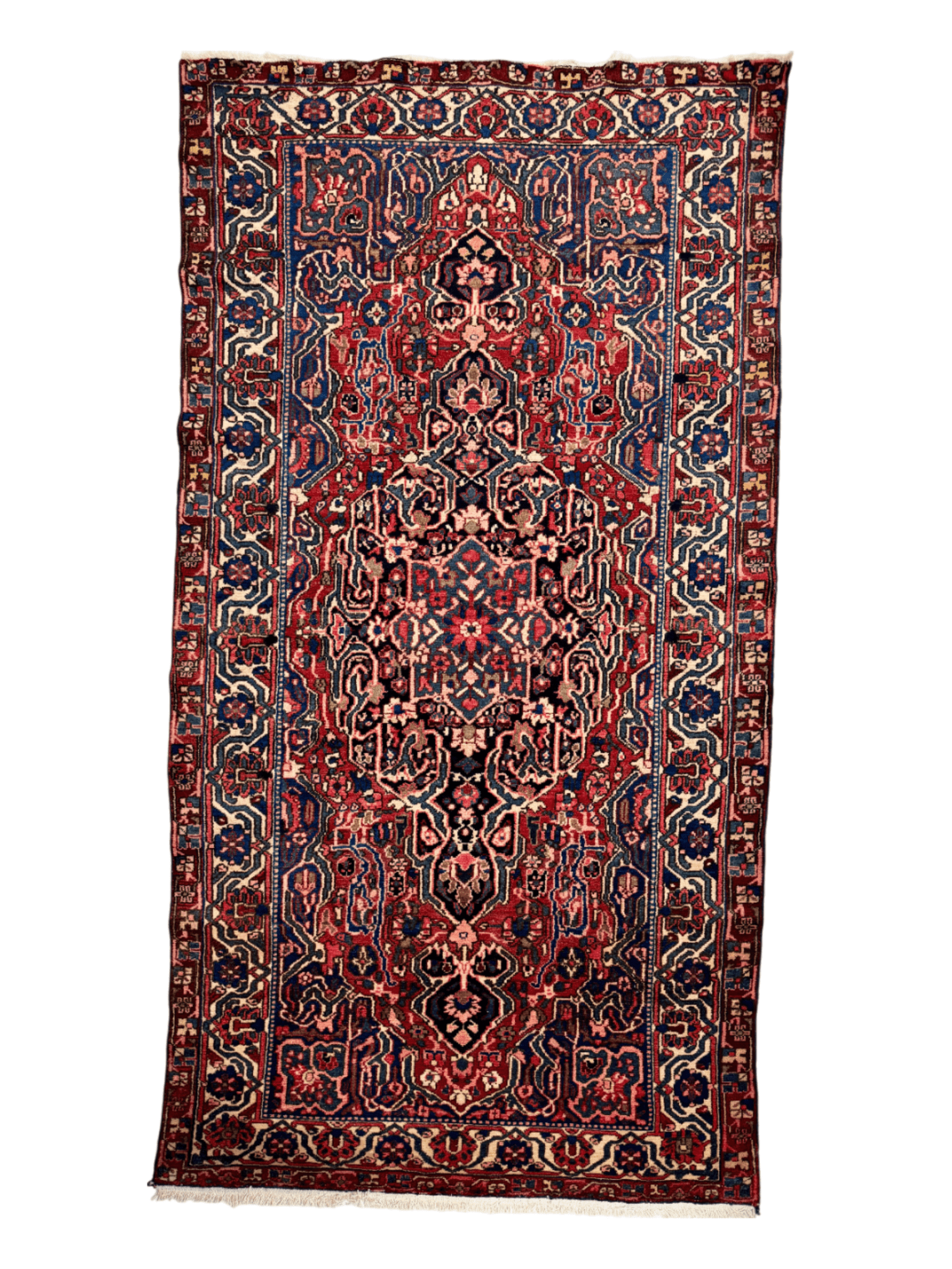 Persian Bakhtiari Rug | 5' 5" x 10' - www.Shopthatapp.com