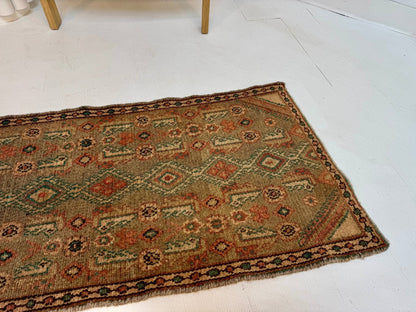 Persian Borujerd Runner Rug | 1' 10” x 6' 5" - www.Shopthatapp.com
