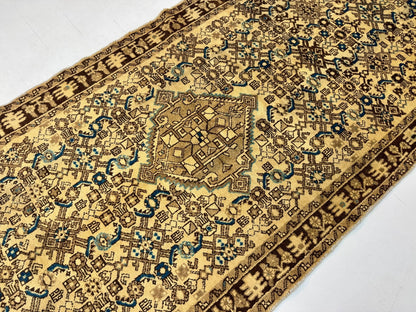 Persian Hosseinabad Runner Rug | 3' 8” x 10' 2" - www.Shopthatapp.com