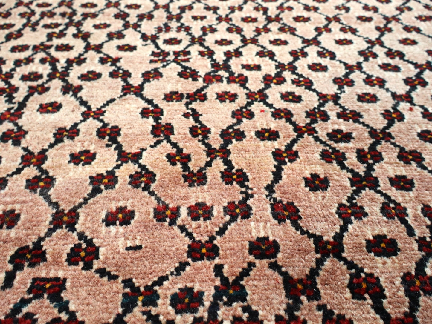 Persian Koliai Rug | 5' 2" x 9' 4" - www.Shopthatapp.com