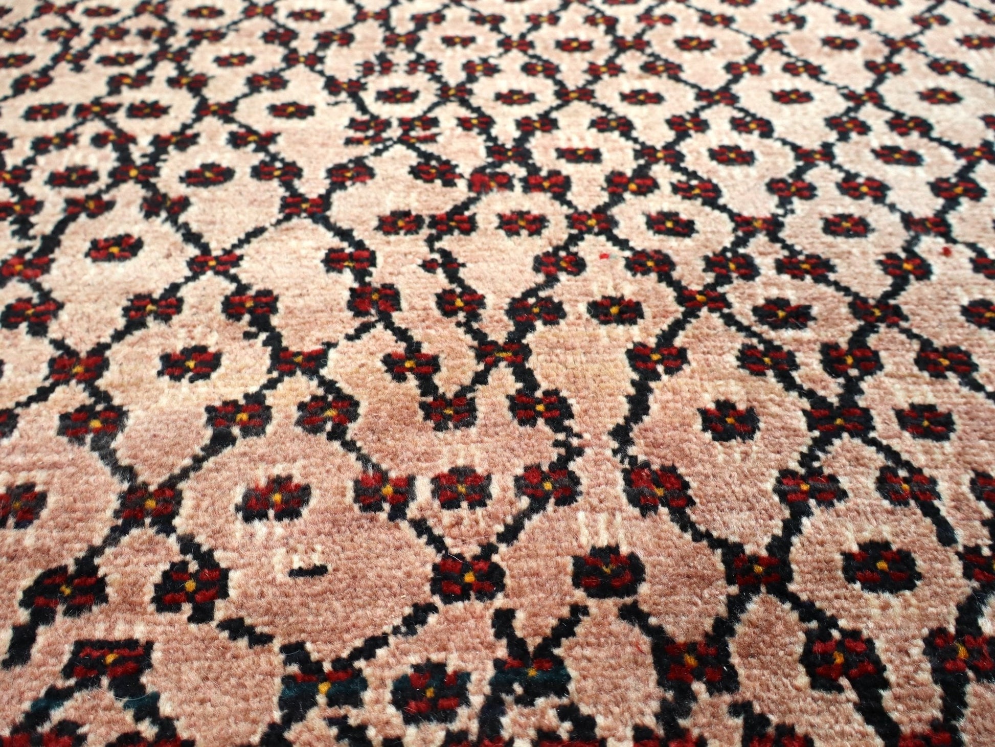 Persian Koliai Rug | 5' 2" x 9' 4" - www.Shopthatapp.com