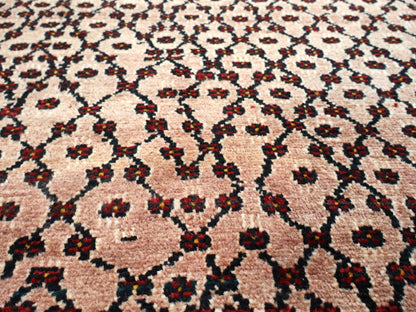 Persian Koliai Rug | 5' 2" x 9' 4" - www.Shopthatapp.com