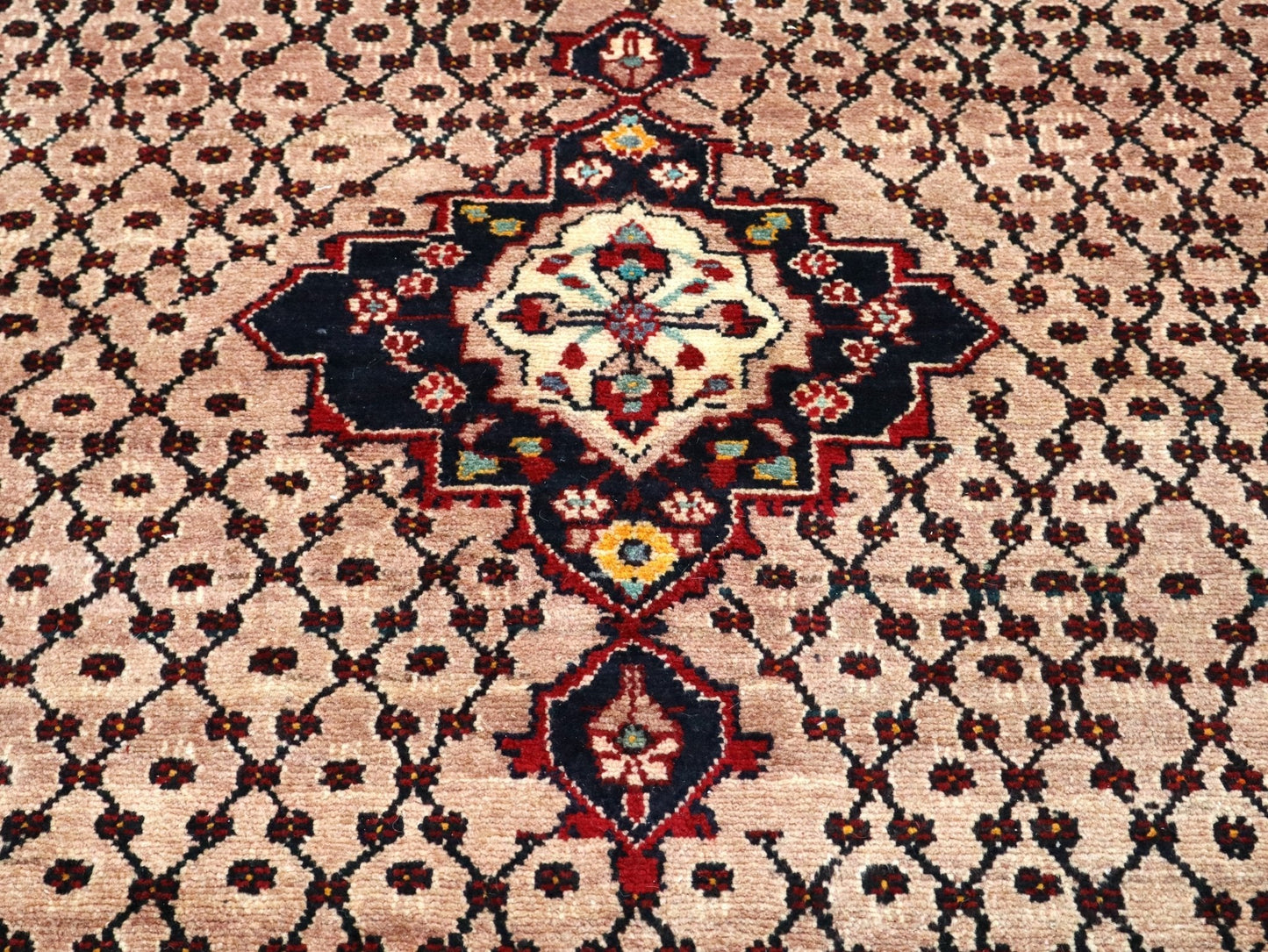 Persian Koliai Rug | 5' 2" x 9' 4" - www.Shopthatapp.com