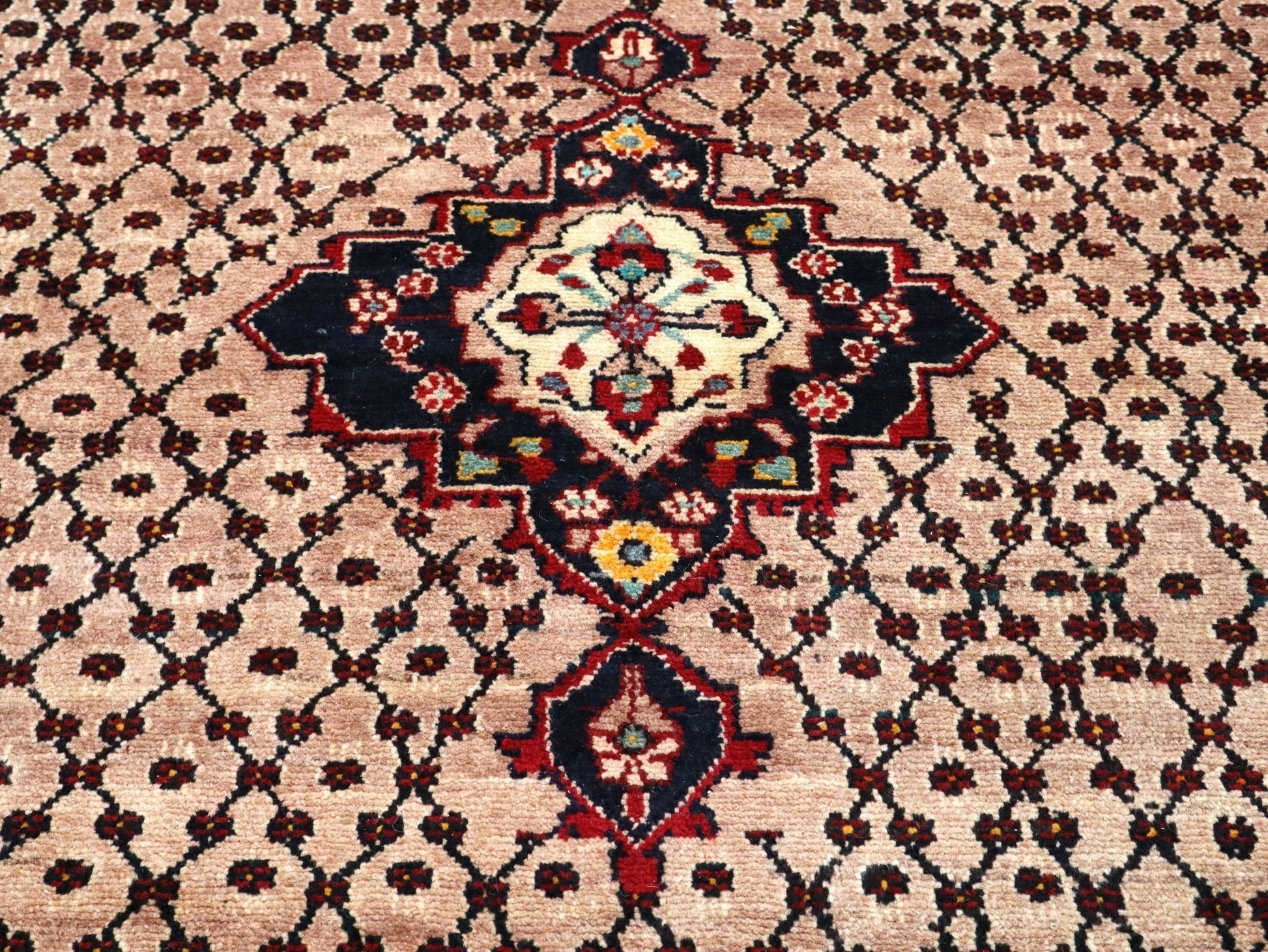 Persian Koliai Rug | 5' 2" x 9' 4" - www.Shopthatapp.com