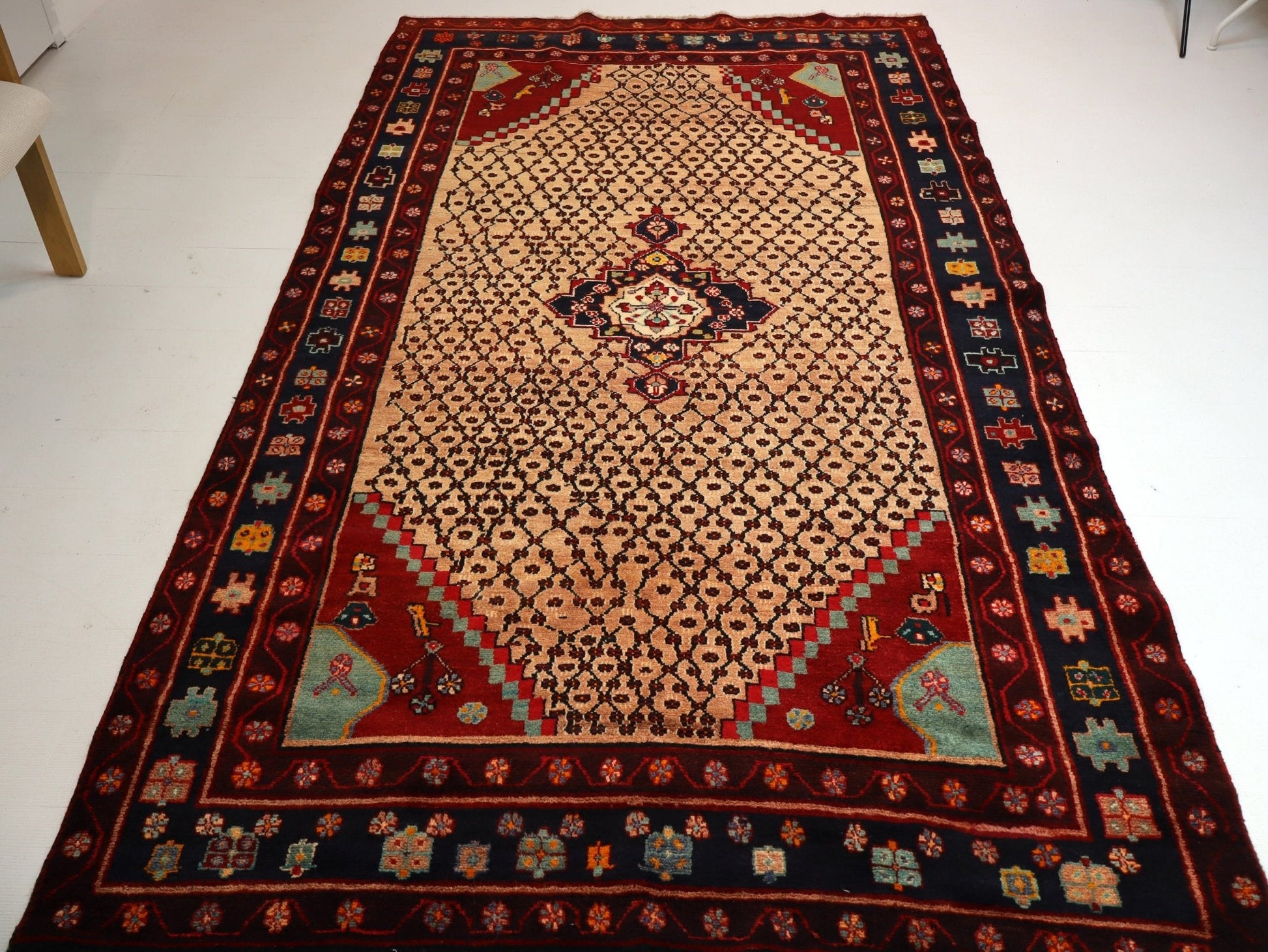 Persian Koliai Rug | 5' 2" x 9' 4" - www.Shopthatapp.com