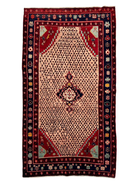 Persian Koliai Rug | 5' 2" x 9' 4" - www.Shopthatapp.com