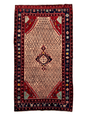 Persian Koliai Rug | 5' 2" x 9' 4" - www.Shopthatapp.com